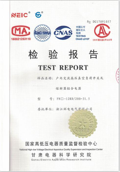 FN檢驗(yàn)報告